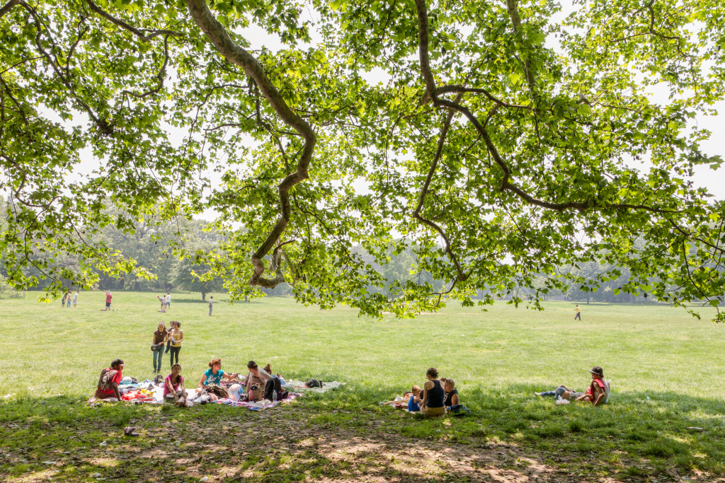The Long Meadow in Prospect Park, easy to access from our Cozy Carroll Gardens Apartment Rental