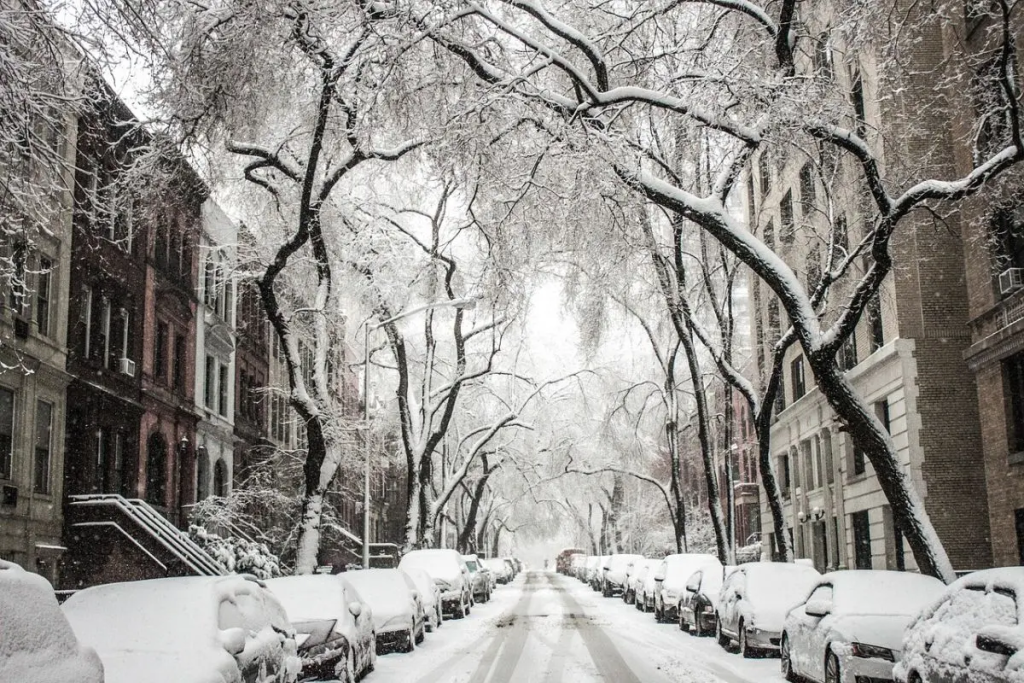 a snow covered street lined with parked cars and trees, just a step outside your carroll gardens apartment rental